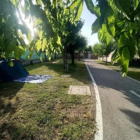 L'oasi Di Lulu' セニガッリア